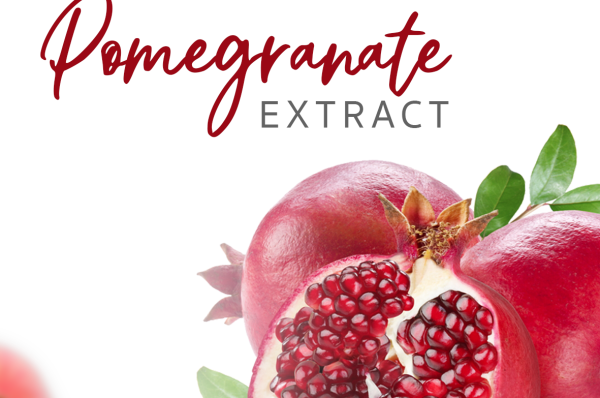 สารสกัดทับทิม Pomegranate Extract